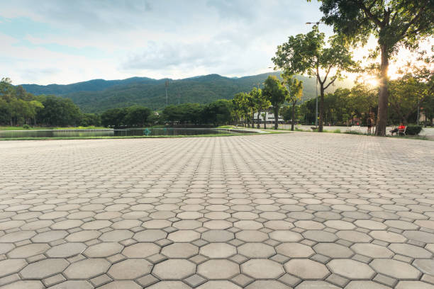 Best Decorative Driveway Pavers  in Galesburg, IL